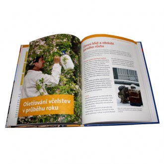 Včelaření  ve městě - G. Petrausch